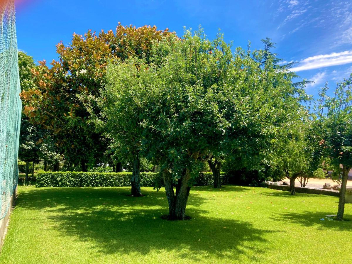 Quinta Dom Sapo B&B - Agroturismo Viana do Castelo Esterno foto